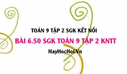 Bài 6.50 SGK Toán 9 tập 2 Kết nối tri thức